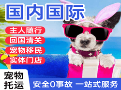 三亚凤凰空运地址国际宠物托运 【国